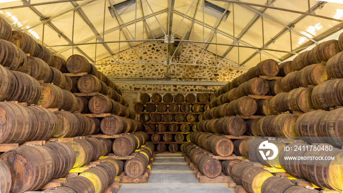 Rum barrels in a cellar in Martinique