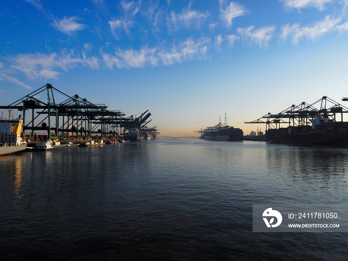 Harbor cranes unloading containers from ships on a sunny morning in the port of Antwerp.