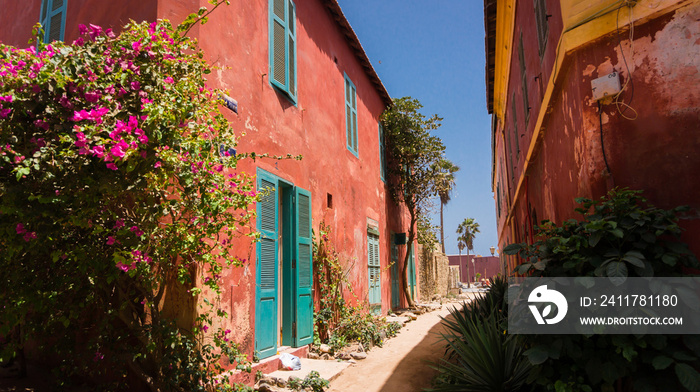 Paysage et ruelle du Sénégal et Dakar