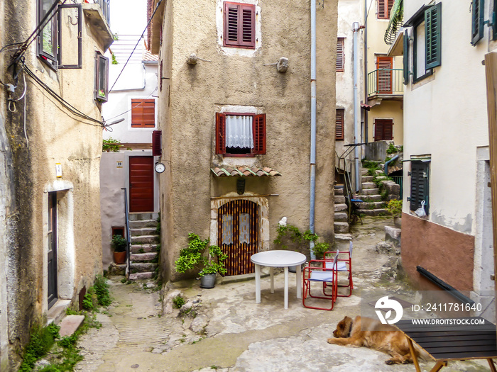 A little square hidden in between tall buildings. There are few chairs and tables on the square. A dog is sleeping in a shadow. Beautifully decorated window shutters. Hidden gem of Croatia.