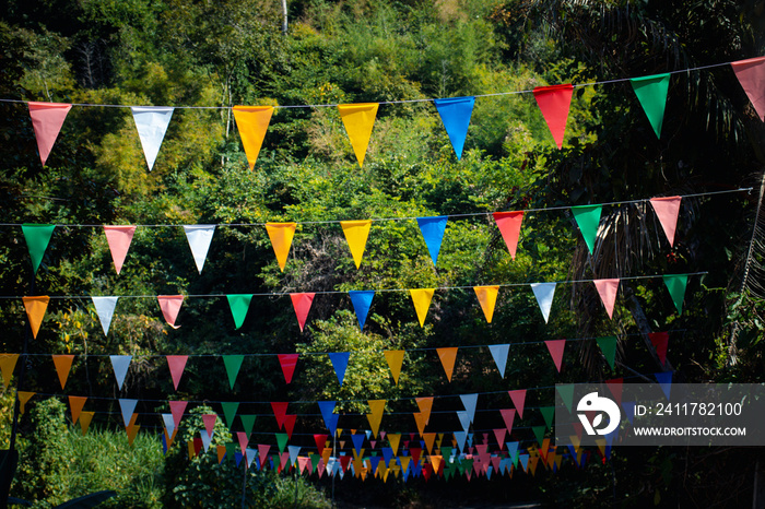 Many multicolored triangular flags adorn the blurred garden.