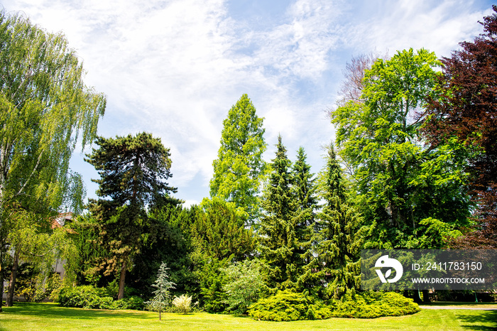 Park with green trees and grass in Prague, Czech Republic