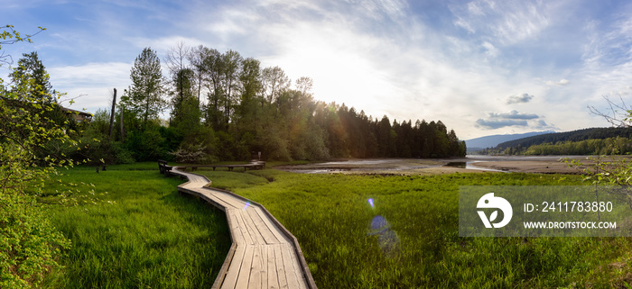 Panoramic View of a Wooden Path across a swamp in Shoreline Trail, Port Moody, Greater Vancouver, British Columbia, Canada. Trail in a Modern City during a Sunny Evening. Nature Background Panorama