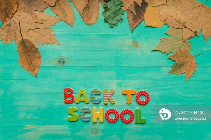 Top view of colorful text and autumn dry leaves banner over wooden background with copy space. Back to school concept.