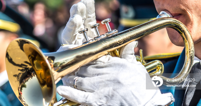 A military brass band-Man plays the trumpet