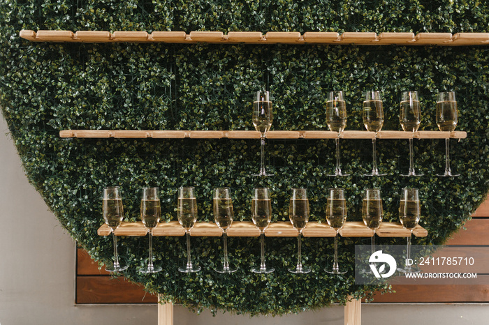 Champagne glasses on the wooden props and green wall