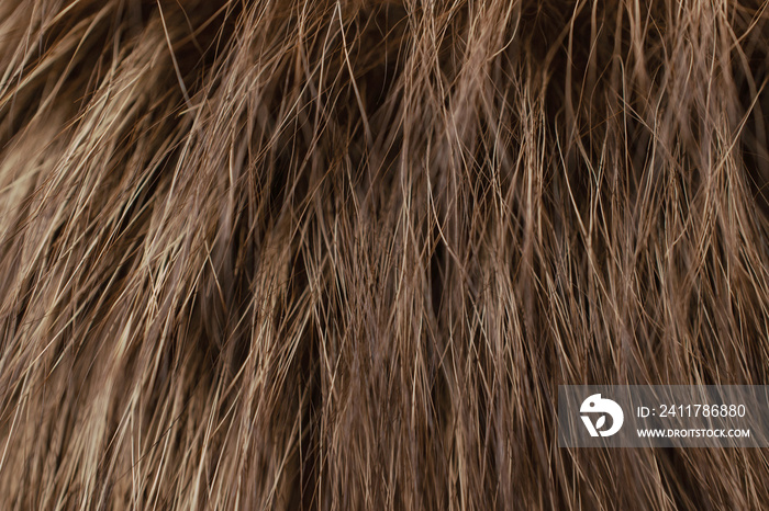 Brown fur as background. Closeup