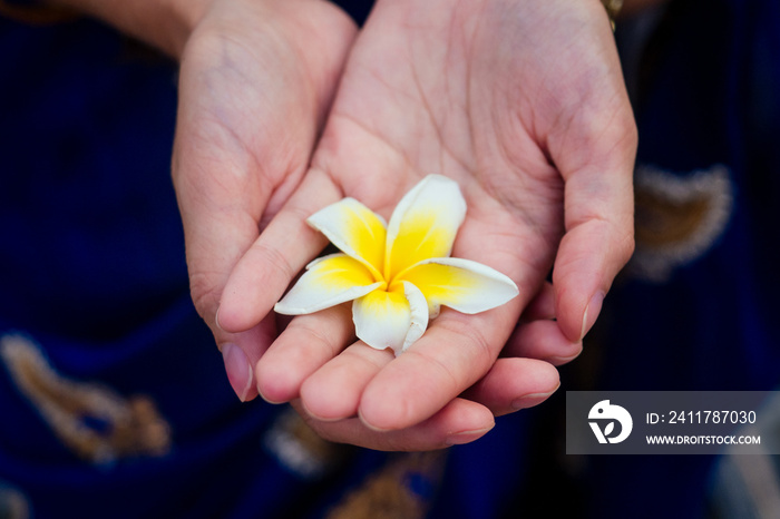 nice aroma therapy concept,woman holding flover on hand