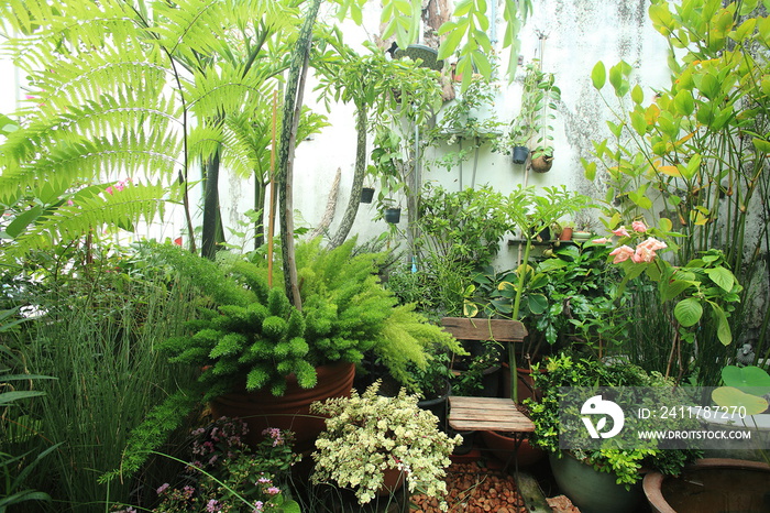 A small garden in the city on the roof of a commercial building. Small garden in a limited area.