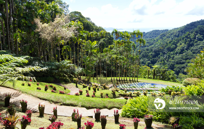 The garden of Balata, Martinique island, French West Indies.