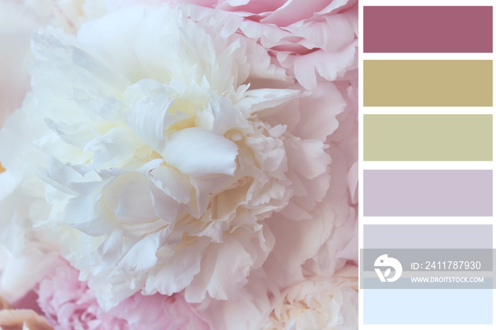 pink flowers colour scheme guide for design