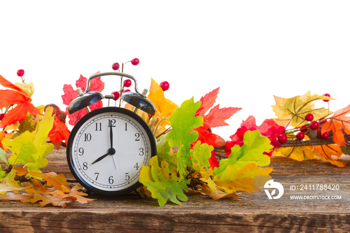 Autumn time - fall multicolored leaves with alarm clock border isolated on white background