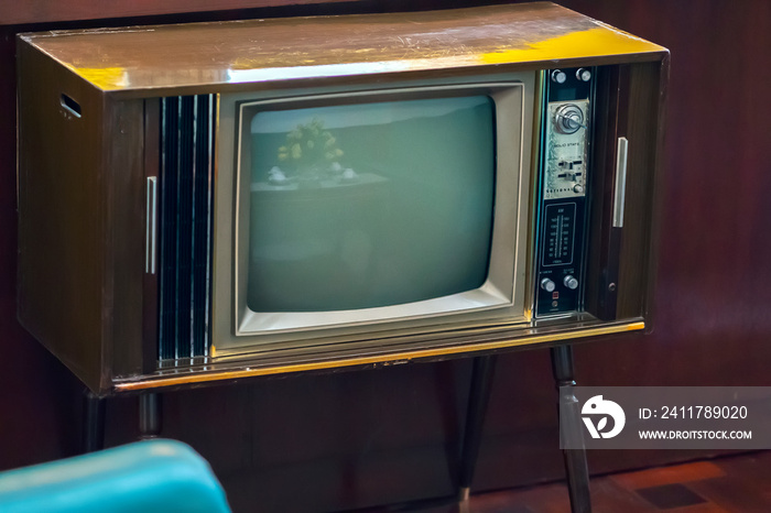 Vintage television was produced in the 1950s and retains it today for indoor decoration