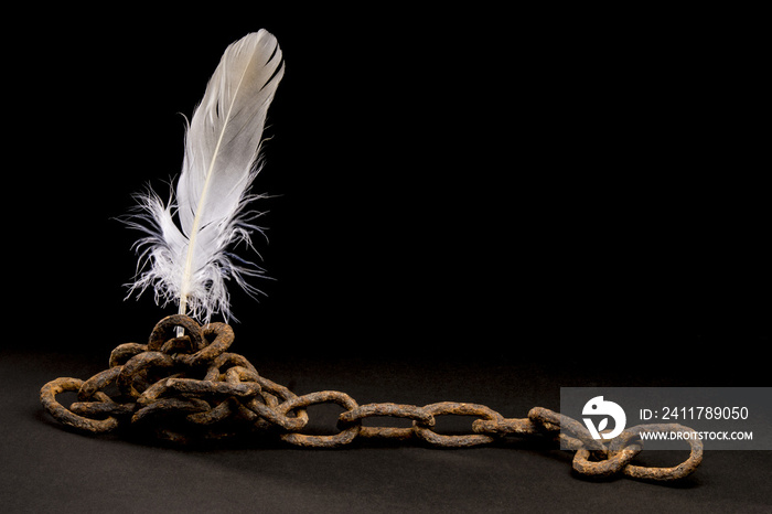 Old rusty chain holds a bird’s feather. Isolated on dark background.  With copy space text. Studio Shot. Concept of freedom of creation.