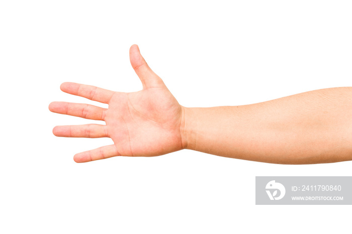 caucasian hands gesturing isolated on a white background