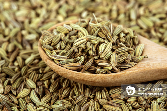 close up the  fennel seed in wooden spoon