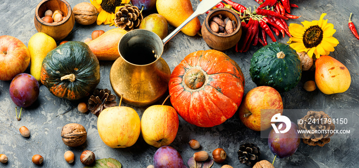 Autumn harvest still life