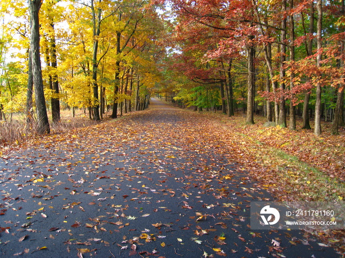 Fall In The Northeast