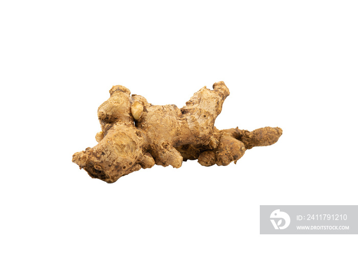 single ginger isolated for element