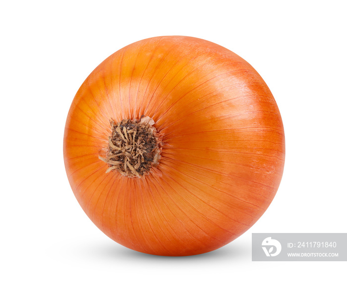 Onion isolated on transparent png