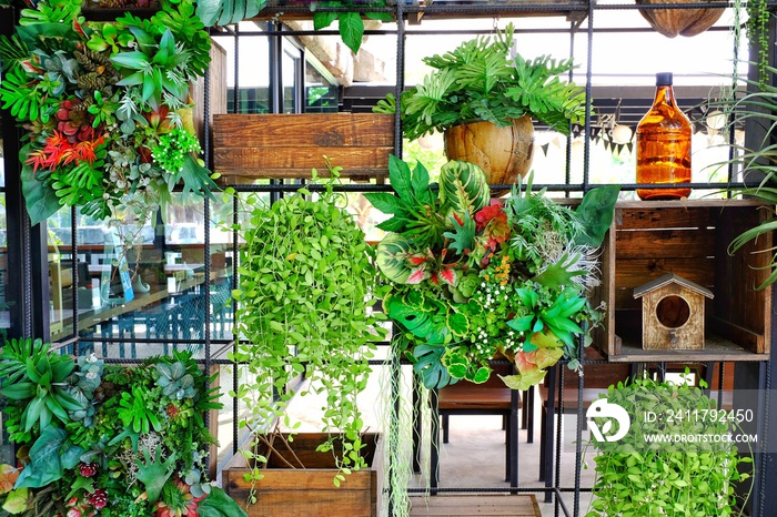 Shelves made of steel, plants used for decoration.