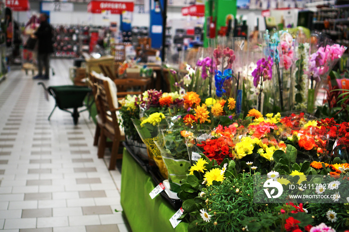 flower and garden department in a supermarket