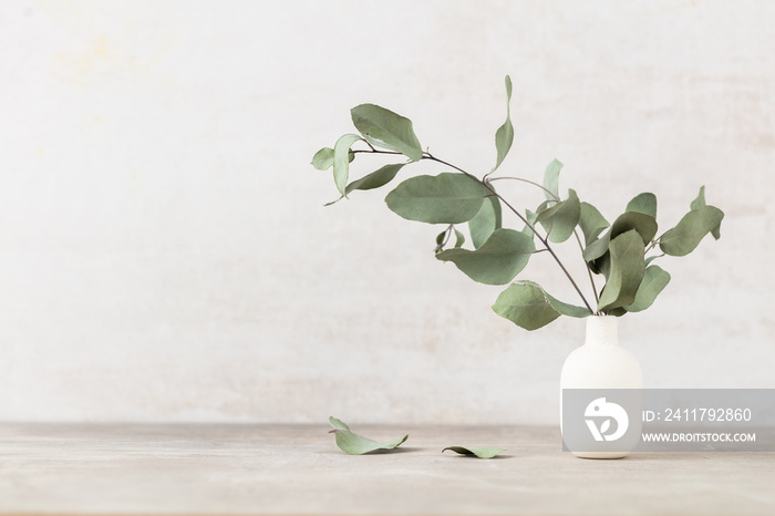 Green eucalyptus leaves in vase. Front view. Place for text, copy space, mockup.