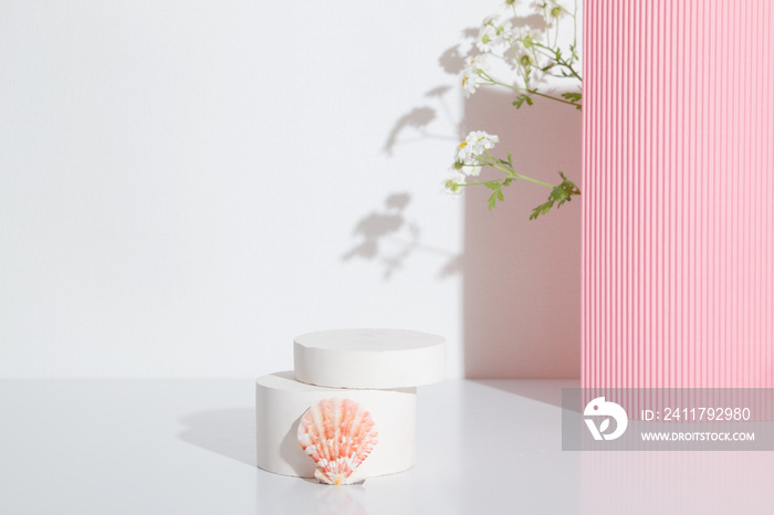 Empty cylindrical podium or plinth with chamomile flowers and seashell on a white background. Blank shelf product standing background