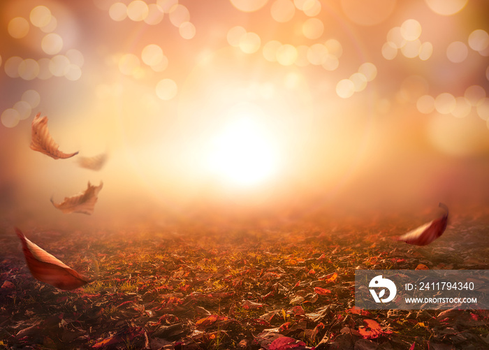 Leaves falling to the ground in an autumn nature, fall background of blurred foliage and scattered leaves on the forest floor at sunset in an autumn landscape.