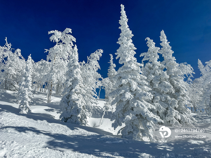 Snow in Steamboat Springs, Colorado