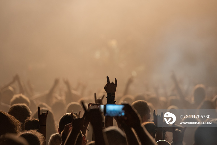 Hand raised showing a heavy metal rock sign at concert