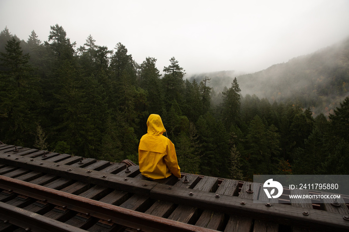 Person sitting on a trestle bridge looking at the misty mountains.