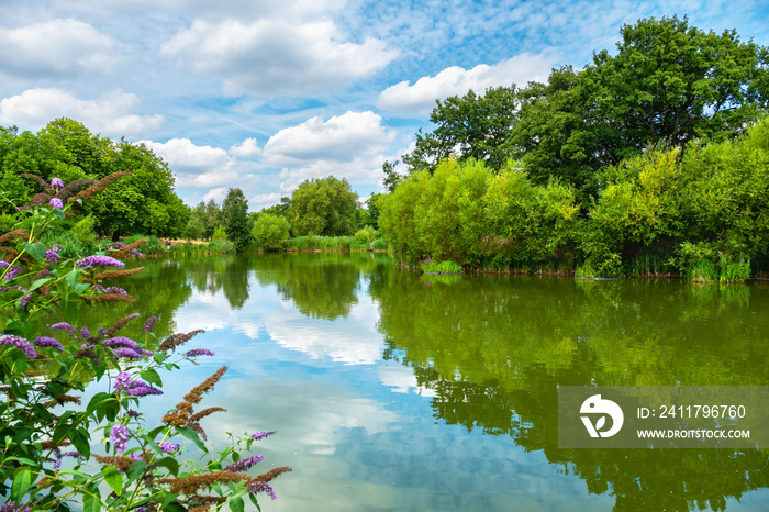 Mount Pond. London, England