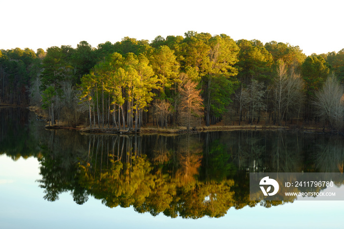 Light captures the top of green, yellow and orange trees. The trees are perfectly reflected in the mirror like surface of the surrounding lake