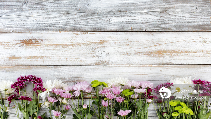 Mixed flowers forming bottom border on white weathered wooden boards