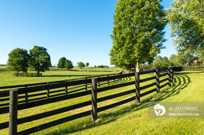 Green pastures of horse farms.