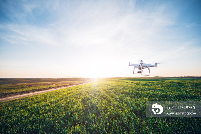 drone quad copter on green corn field