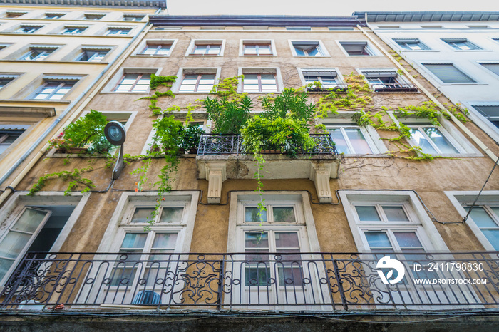 Lush balcony and typical facade of Presqu’ile neighborhood in Lyon