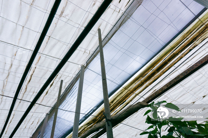 greenhouse roof and opening