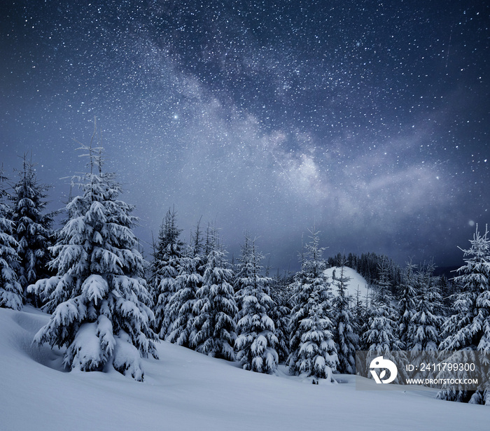 Dairy Star Trek in the winter woods. Dramatic and picturesque scene. In anticipation of the holiday. Carpathian, Ukraine, Europe