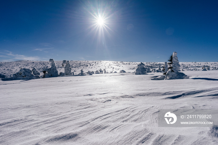 Beautiful winter mountain landscape of Giant mountains, Czech republic. Krkonose mountains in a winter day. Bright blue sky, sun star shining and snow lines and powder snow. Frozen trees.