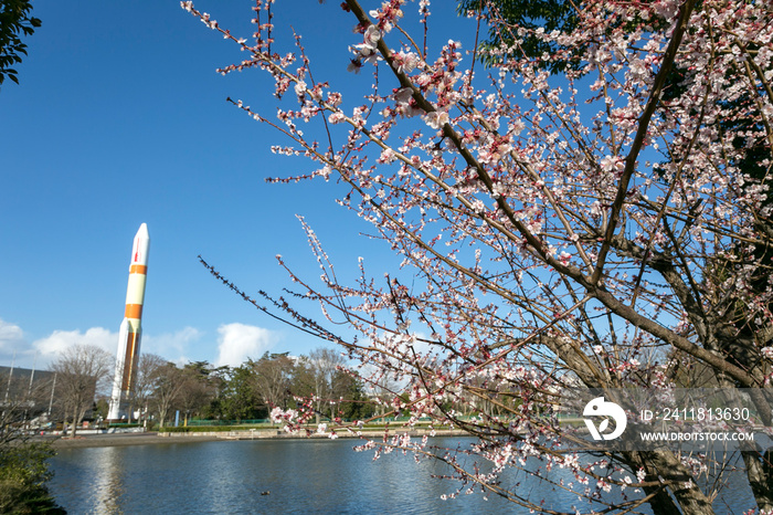 つくば中央公園（茨城県つくば市）