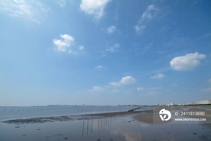 ふなばし三番瀬海浜公園（千葉県船橋市）