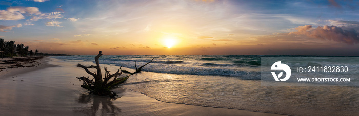 墨西哥卡里比克Tulum Strandes von Tulum全景