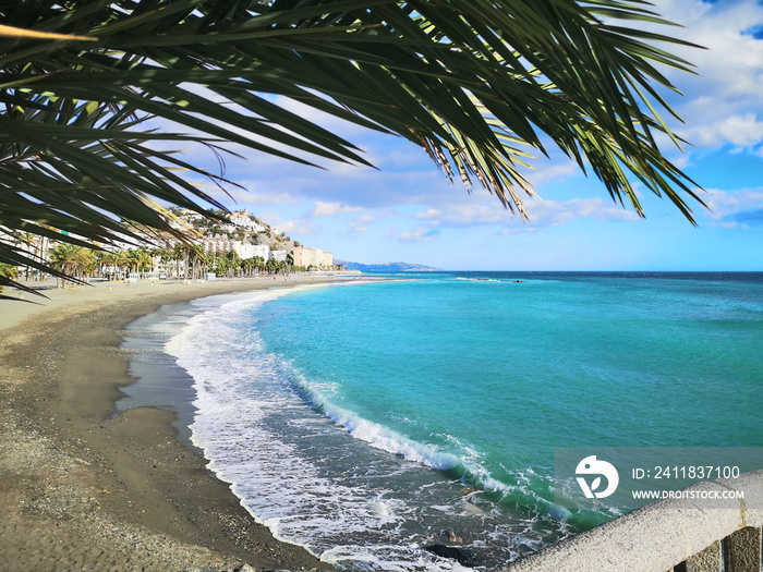 palms in the promenade of Almuñécar, andalusia, spain, tourist destination, white village of Granada