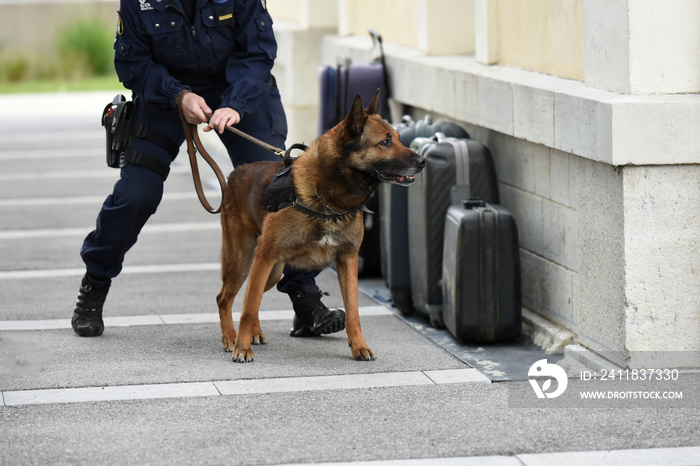 chien gendarme