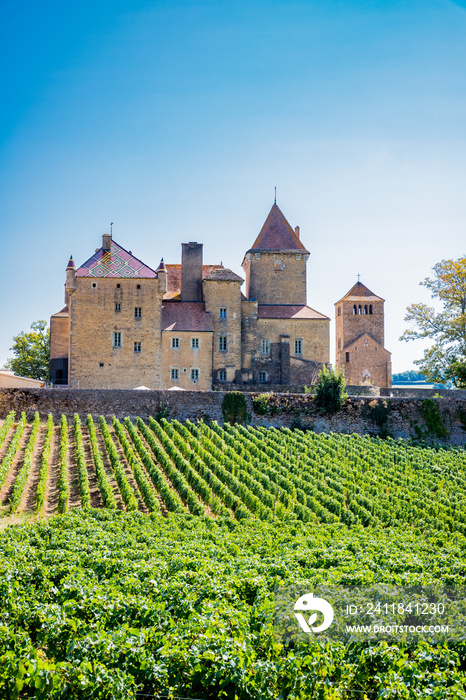 Le Châtreau de Pierreclos en Bourgogne