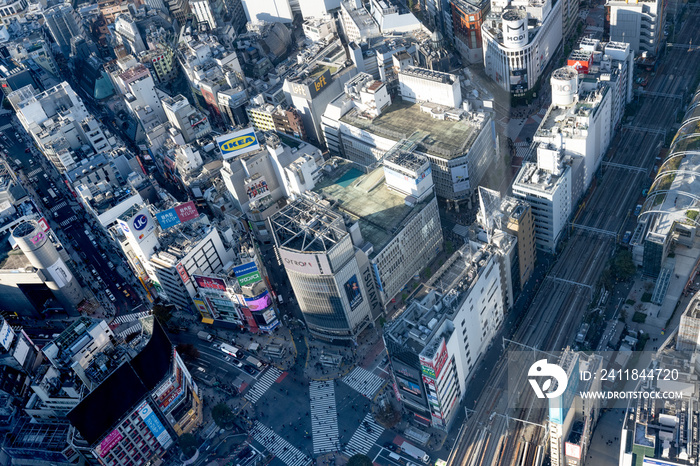 東京都渋谷区　渋谷スカイ(渋谷スクランブルスクエア)から見た東京の景色