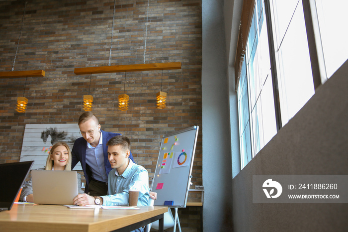 Young people having business meeting in modern office