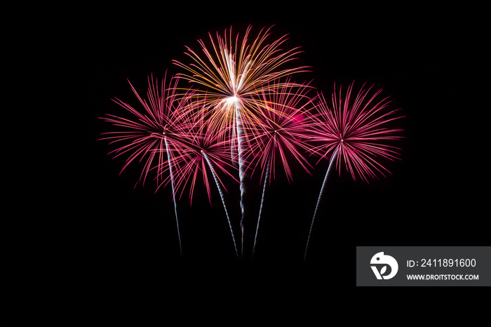 Colorful fireworks over dark sky